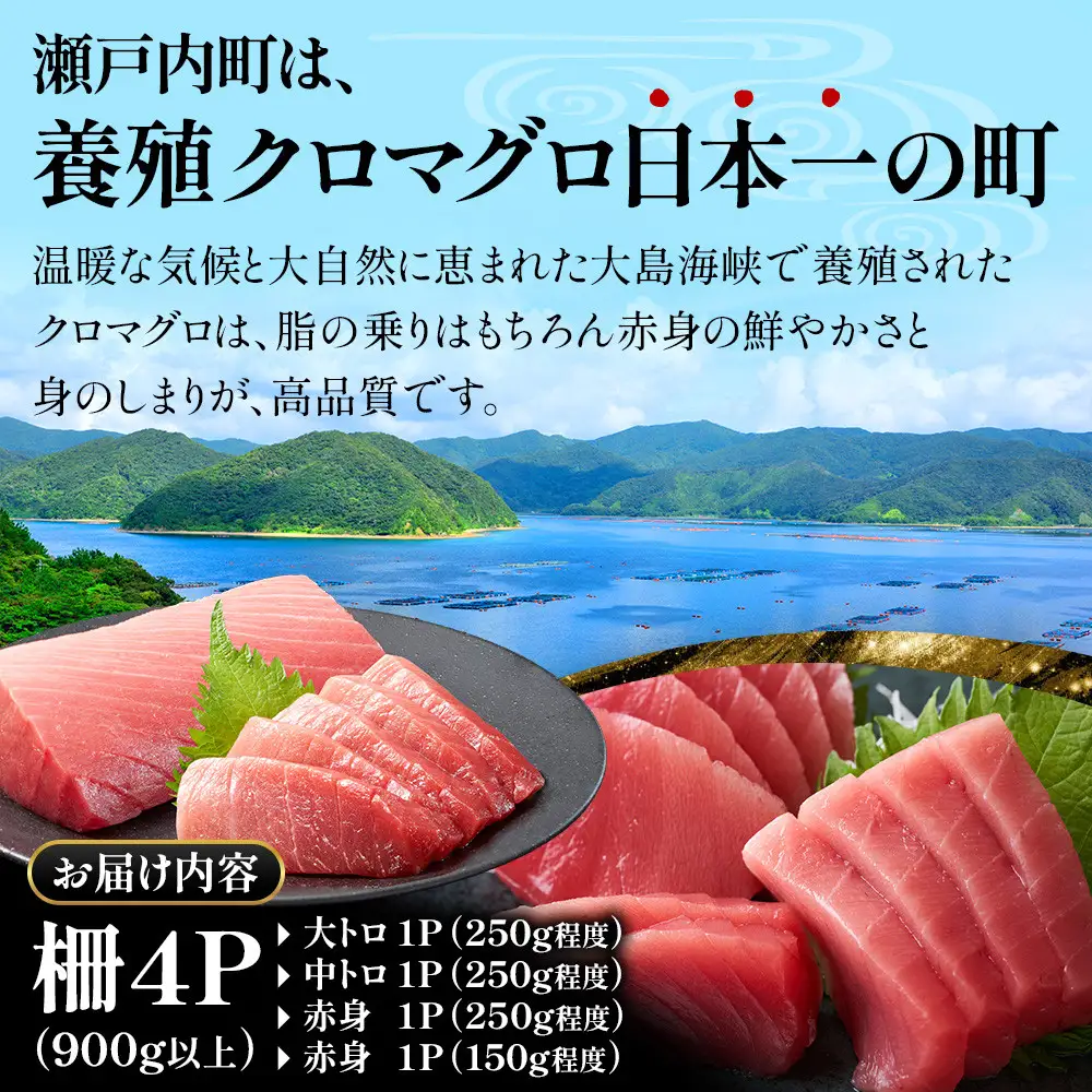 【3回定期便】奄美大島産養殖クロマグロ 4柵セット 900g以上