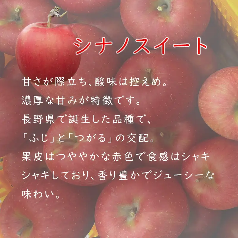 【2026年 先行予約 令和8年産】 訳あり りんご 5kg 【若手生産者応援】 シナノスイート 伊藤 快 果物 フルーツ 先行 予約 信州 麻績村 不揃い 規格外 家庭用