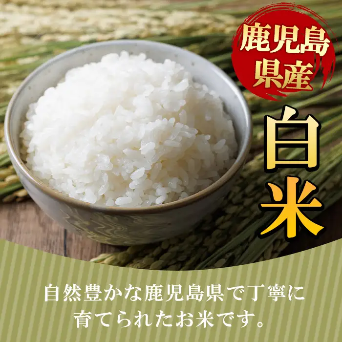 No.1378-D ＼先行予約受付中！2026年11月上旬以降発送予定／＜定期便・全3回＞ 鹿児島県産のお米 ヒノヒカリ (計15kg・5kg×3回) 国産 九州産 ひのひかり 米 訳アリ 訳あり 白米 ご飯 ごはん 令和8年産【末永商店】