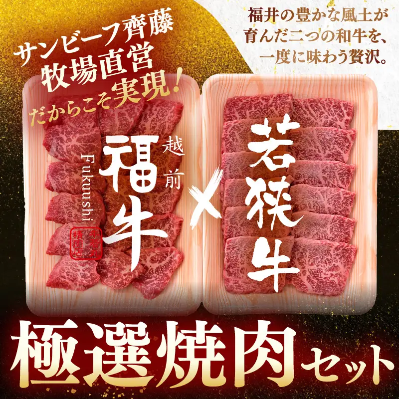 若狭牛 × 越前福牛 極選焼肉食べ比べセット 600g (各300g) 焼き肉 国産和牛 ブランド牛 冷凍 贈答 ギフト [B-1810]