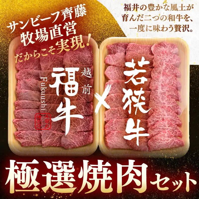 若狭牛 × 越前福牛 極選焼肉食べ比べセット 1kg (各500g) 焼き肉 国産和牛 ブランド牛 冷凍 贈答 ギフト [D-1805]