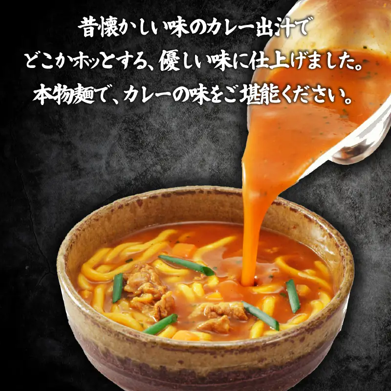 【定期便12回】丸亀のカレーうどん 24人前 12回 定期便