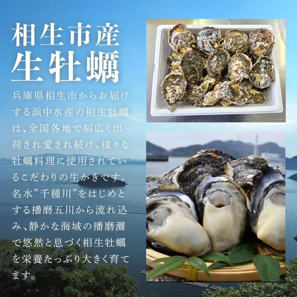 岩かき　4.5kg【漁師直送！】2026年6月中旬～発送