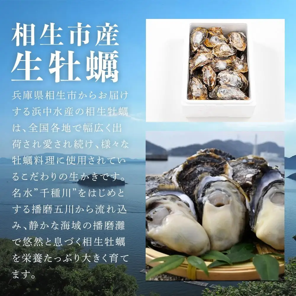【先行予約】殻付き生牡蠣 2.5kg【漁師直送！】