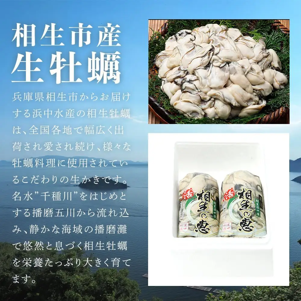 【先行予約】むき身 生牡蠣500gx2【漁師直送！】