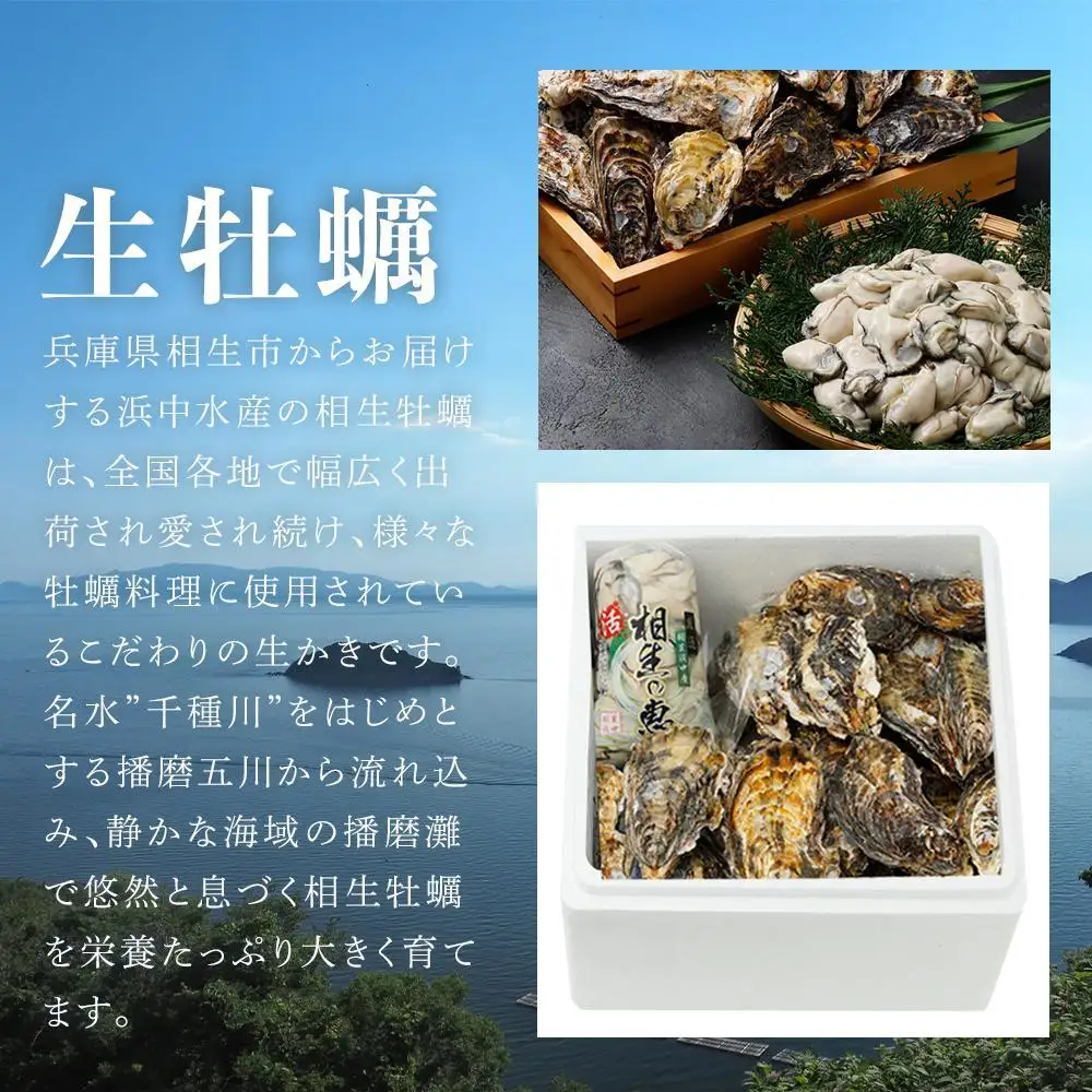 【先行予約】殻付き生牡蠣 2kg,むき身 生牡蠣500g【漁師直送！】