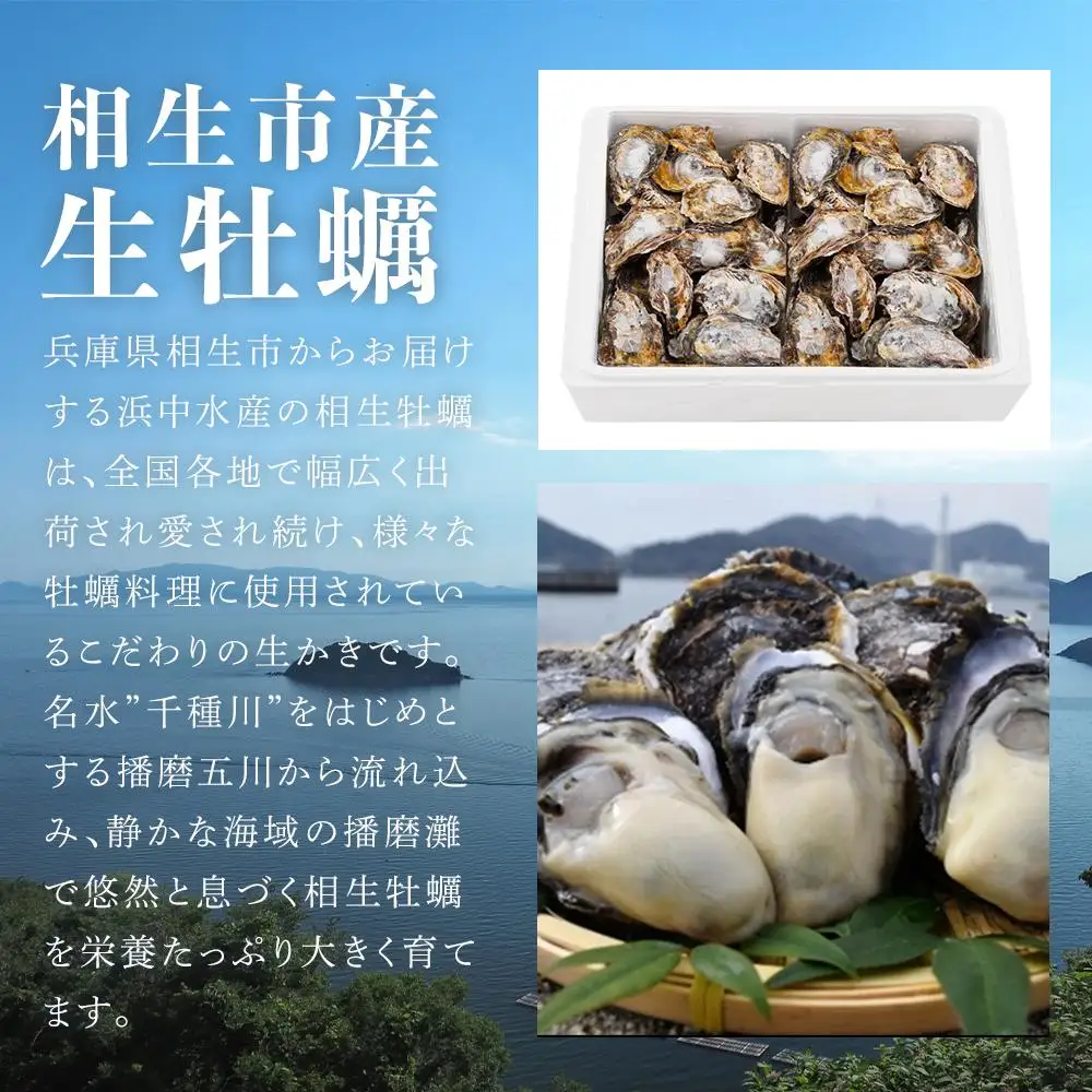 【先行予約】殻付き生牡蠣 5kg【漁師直送！】