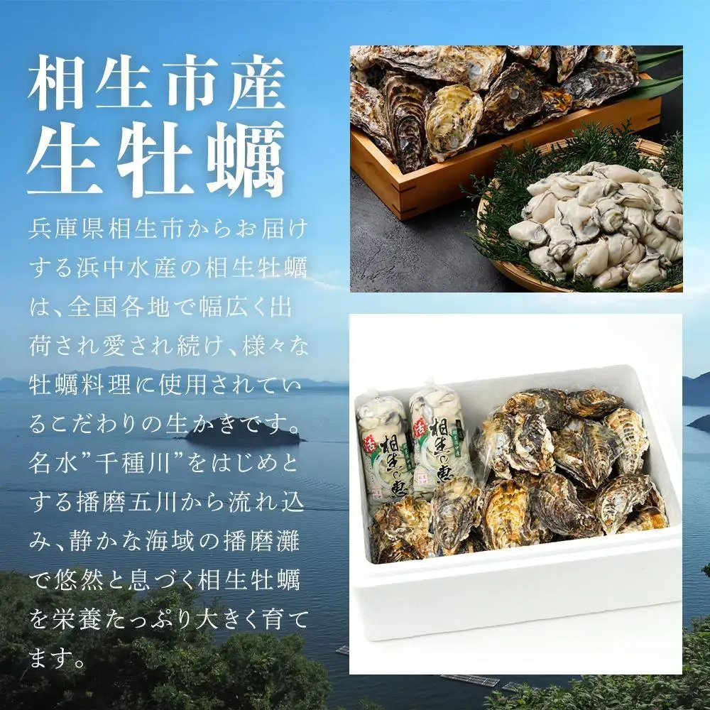 【先行予約】殻付き生牡蠣 4kg,むき身 生牡蠣500g×2【漁師直送！】