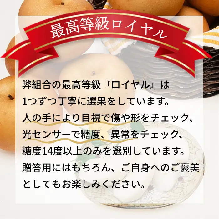 【南信州産】南水梨約2kg 5~6玉入り 糖度14度以上 ＜9月中旬より発送＞