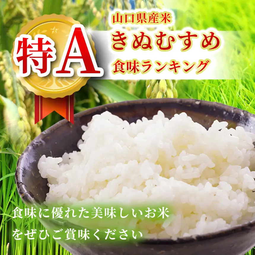令和8年度産 新米 きぬむすめ 白米 10kg 村上農園 先行予約 ＜ 2026年10月中旬より11月末まで順次発送 ＞