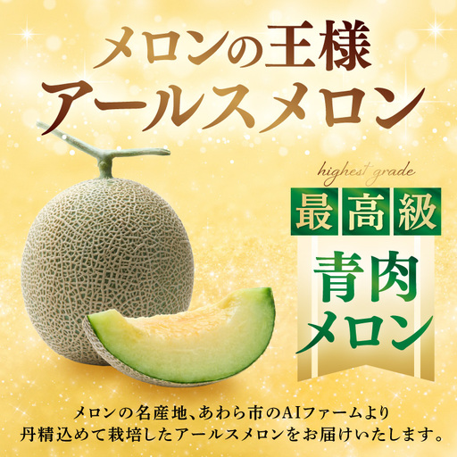 先行予約】秋 アールスメロン 4玉 約8kg以上（約2㎏以上×4玉）青肉品種