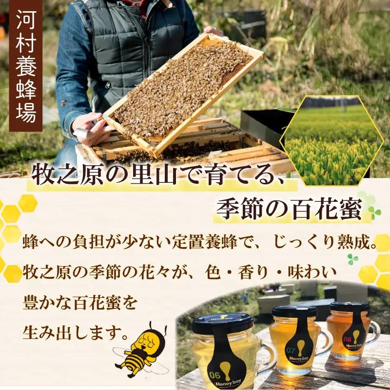 【国産 はちみつ 】 Honeyboyシリーズ 2個 ふじのくに 新商品 コレクション 最高 金賞 受賞 静岡県 牧之原市 河村養蜂場