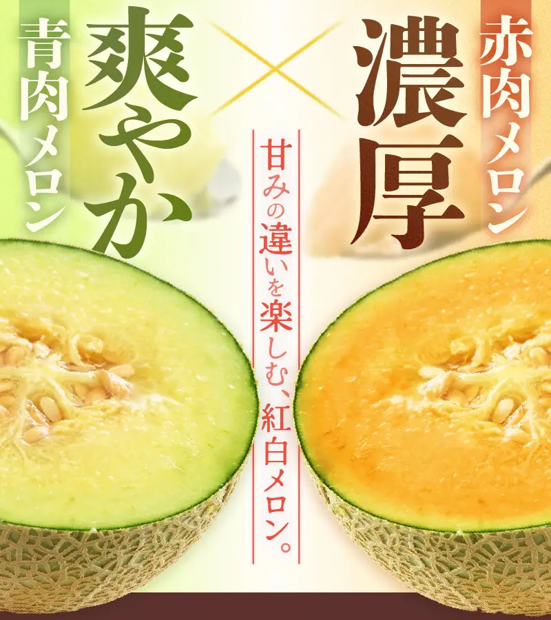 【先行予約】紅白アンデスメロン 青肉・赤肉 食べ比べセット ４L(1玉1.3kg以上）×2玉 ／ 果物 フルーツ 産地直送 糖度 ギフト 贈り物 福井県あわら市 ※2027年6月中旬以降順次発送 [aw067-a006]