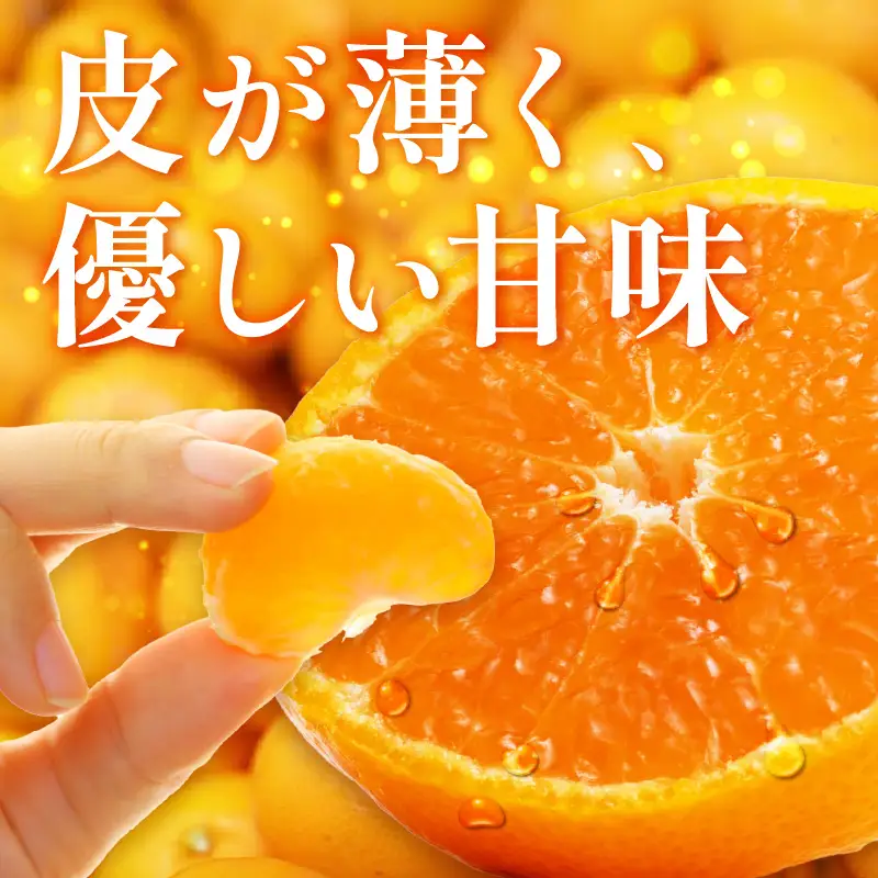 和歌山県天田の頑固みかん　5kg （優～良混合）サイズ指定可能（S・M・L）Lサイズ【1337_L】