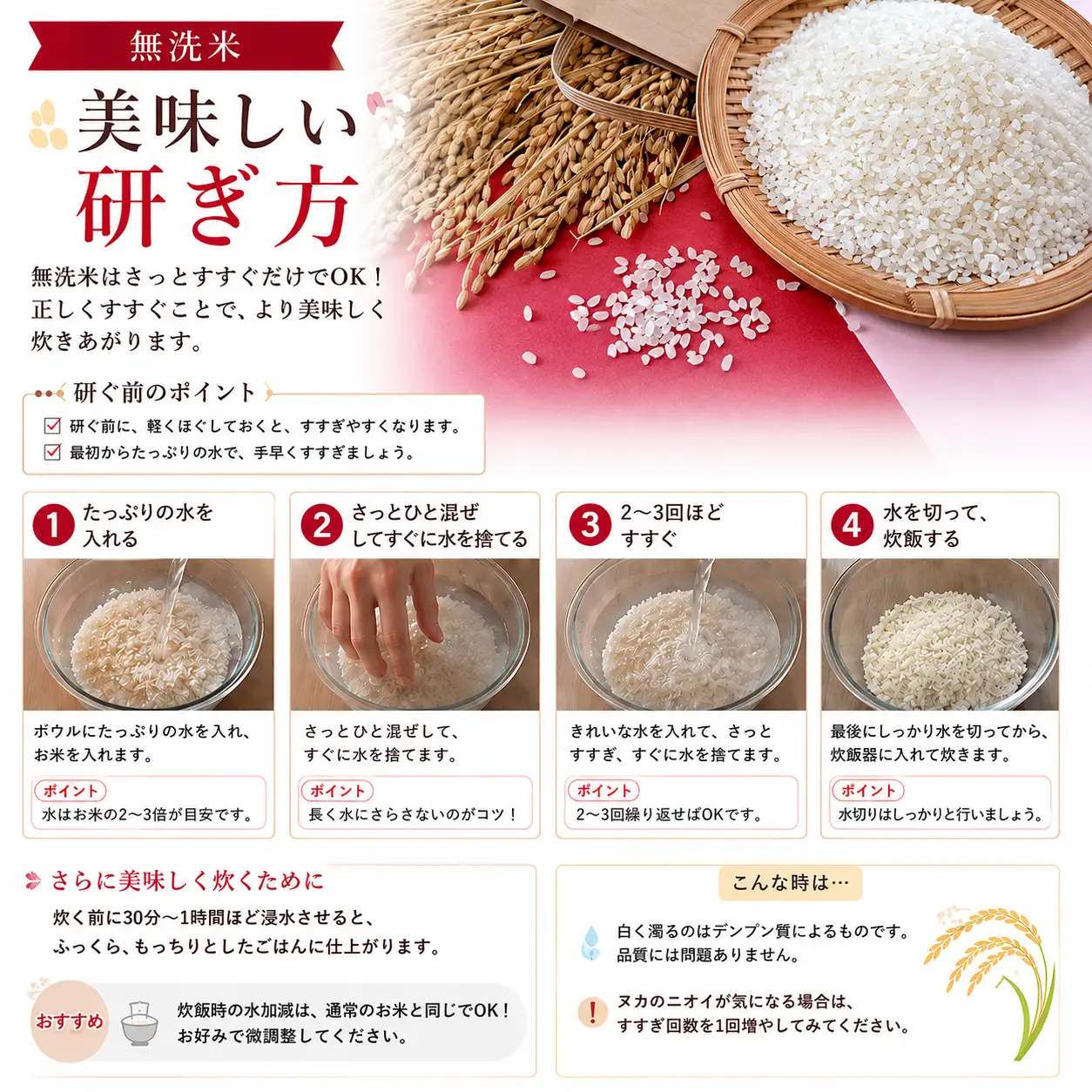 【令和7年度産】 無洗米 10kg あさひの夢 無洗