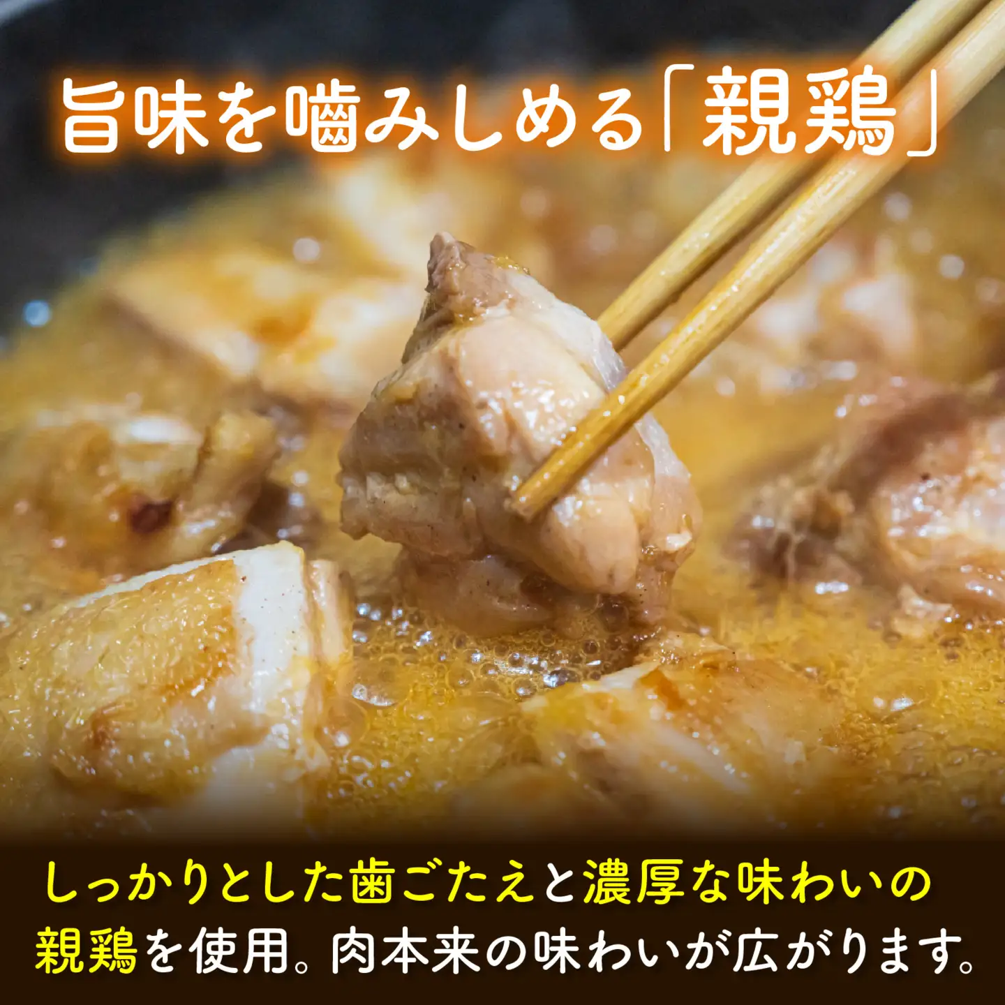 KITO スパイシーチキンカレー 詰合せ 180ｇ×5パック | カレー