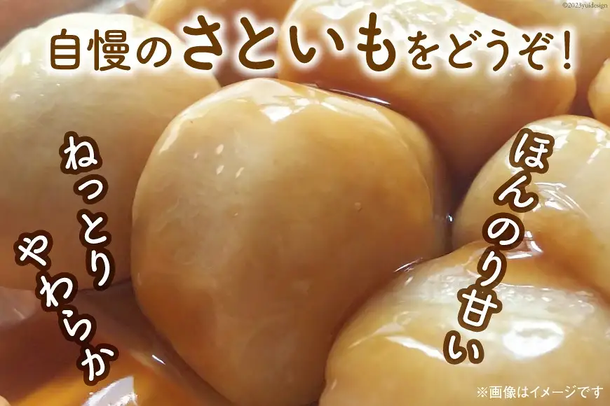 【先行予約】【訳あり】上市特産品 規格外 里芋 2kg [LINK&ROOTS 富山県 上市町 32280240-r6-01] さといも サトイモ おでん 煮物 豚汁 傷あり