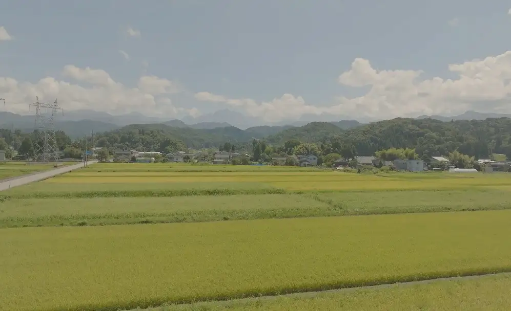 【令和7年産】上市町産コシヒカリ「剱米」（白米）5kg　 [ソムリエH 富山県 上市町 32280236-r6-03] 　お米 コメ ご飯 ごはん ご飯 ごはん こしひかり