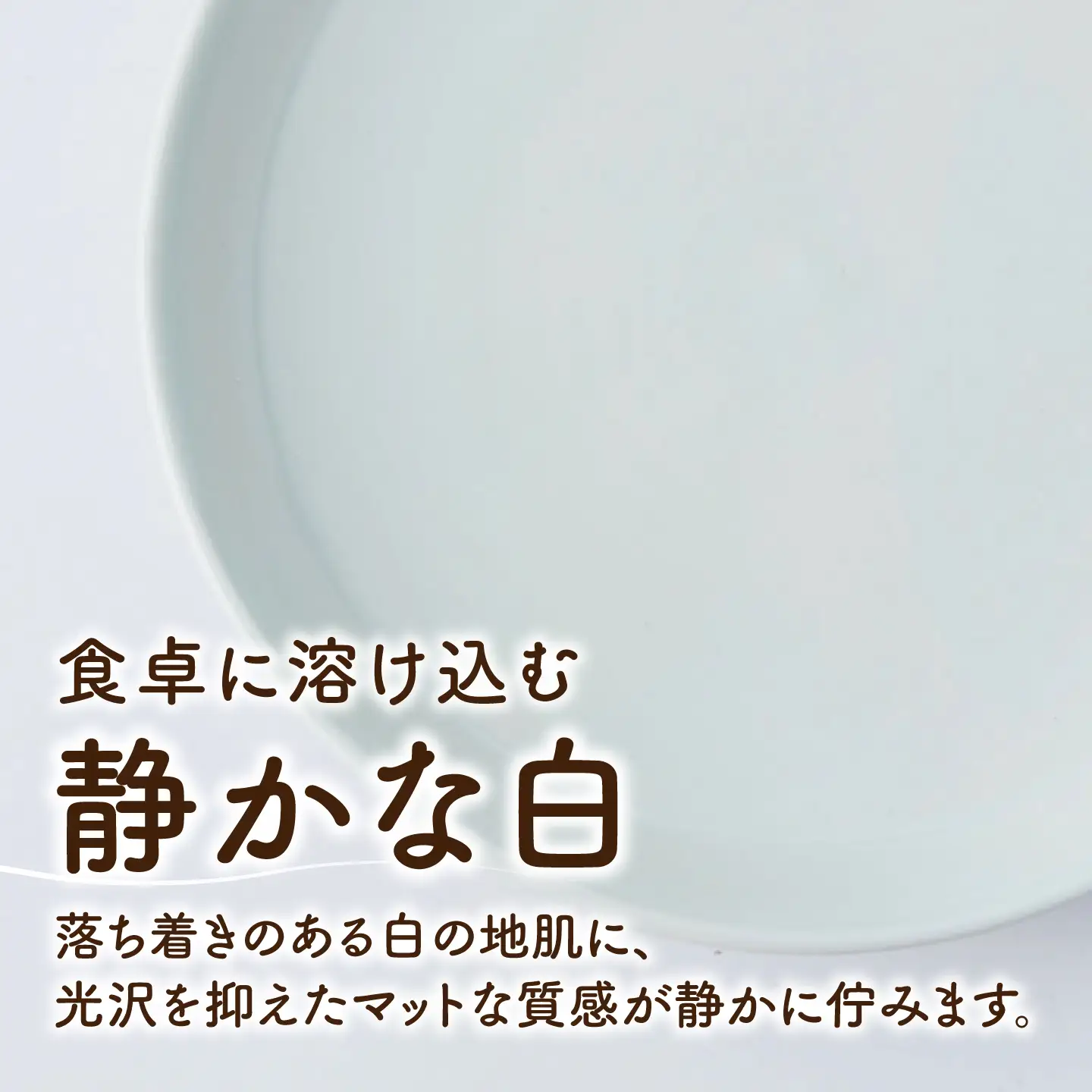 砥部焼 平皿 大×1個 平皿 BJAF011