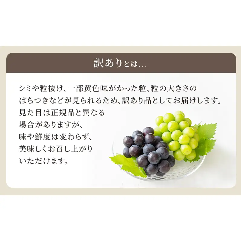 2回定期便 訳あり シャインマスカット約2kg(3-4房)×ニューピオーネ約2kg(3-4房) 岡山県高梁市産 うめづぶどう園 化粧箱入り 葡萄 ブドウ 大粒 配送不可：北海道、沖縄、離島