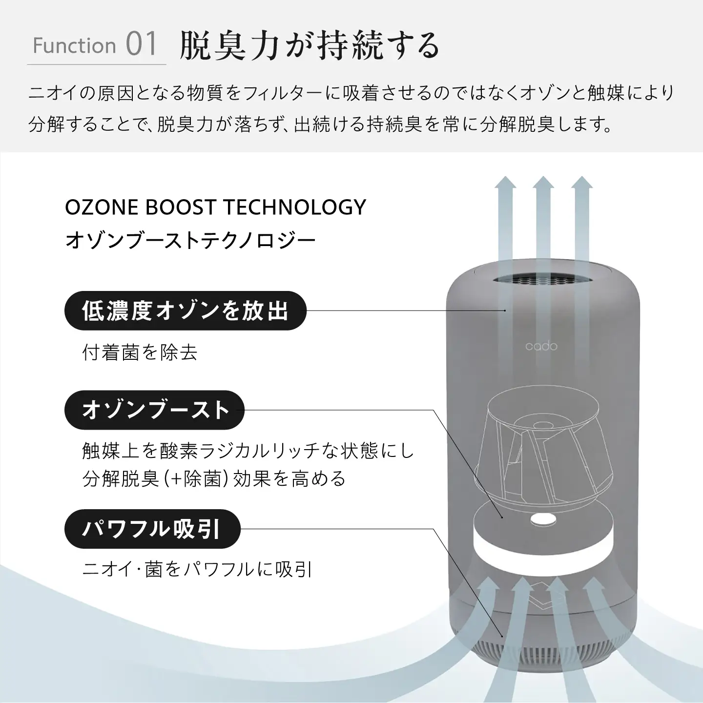 cado 除菌脱臭機 SAP 003 サップ クールグレー / 家電 国産 日本製 / 佐賀県 / 株式会社カドー[41ANAE034]