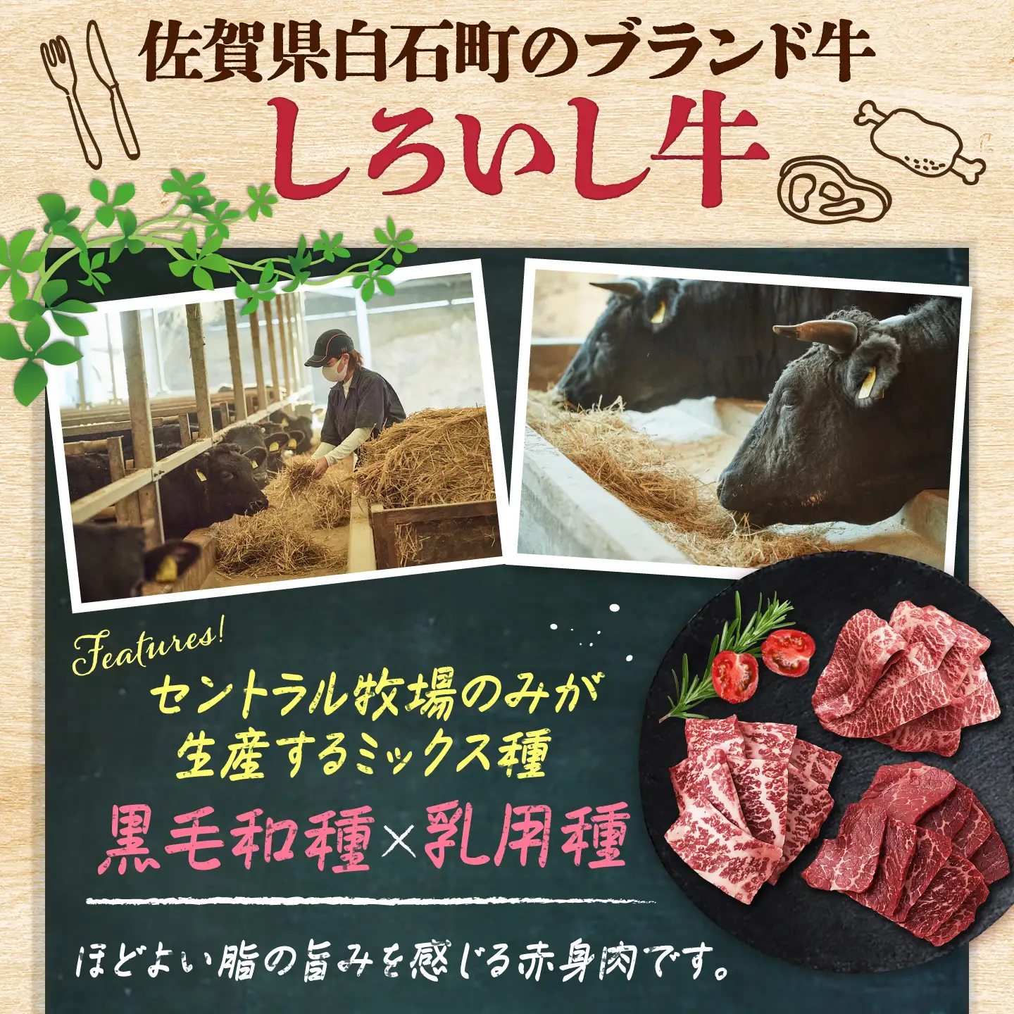 佐賀県産 しろいし牛 焼肉盛り合わせ 1200g（約6-8人前） / 牧場直送 国産 牛肉 焼肉 希少部位 / 佐賀県 / 有限会社佐賀セントラル牧場[41ASAA325]