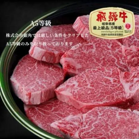 【毎月定期便】A5等級【白銀】飛騨牛切り落し600g全3回【配送不可地域：離島】【4090427】