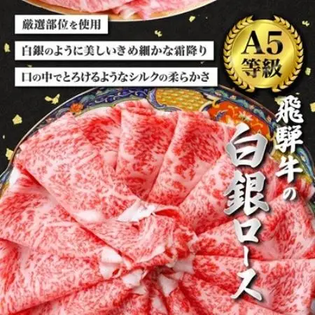 【毎月定期便】飛騨牛【白銀ロース】すき焼き・しゃぶしゃぶ用500g全3回【配送不可地域：離島】【4090431】