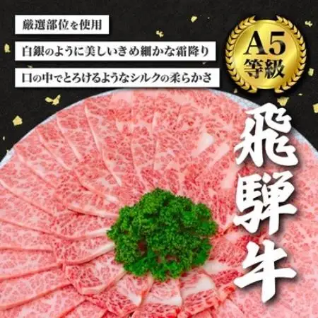 【毎月定期便】【訳あり】飛騨牛切り落し焼肉用600g全3回【配送不可地域：離島】【4090432】