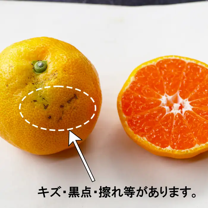 完熟 極早生 みかん 訳あり (おおいた早生)  約3kg 【木戸農園】 11月 果物 フルーツ 数量限定 期間限定 九州 大分県 ＜113-013＞