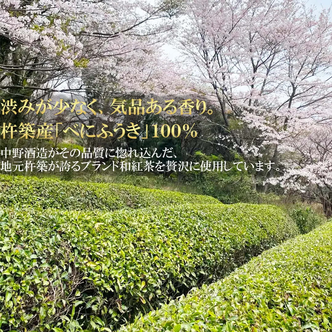 ちえびじん 紅茶梅酒 (720ml)+ きつき紅茶「べにふうき」のティーバック (12個×2)【中野酒造】 国産 和紅茶 梅酒 ギフト 贈答 ＜110-032＞