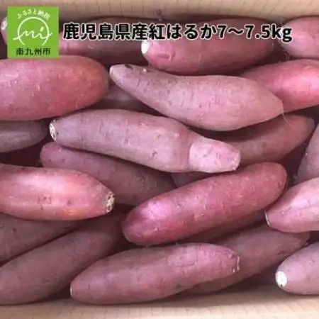鹿児島県産紅はるか7～7.5kg【1767210】