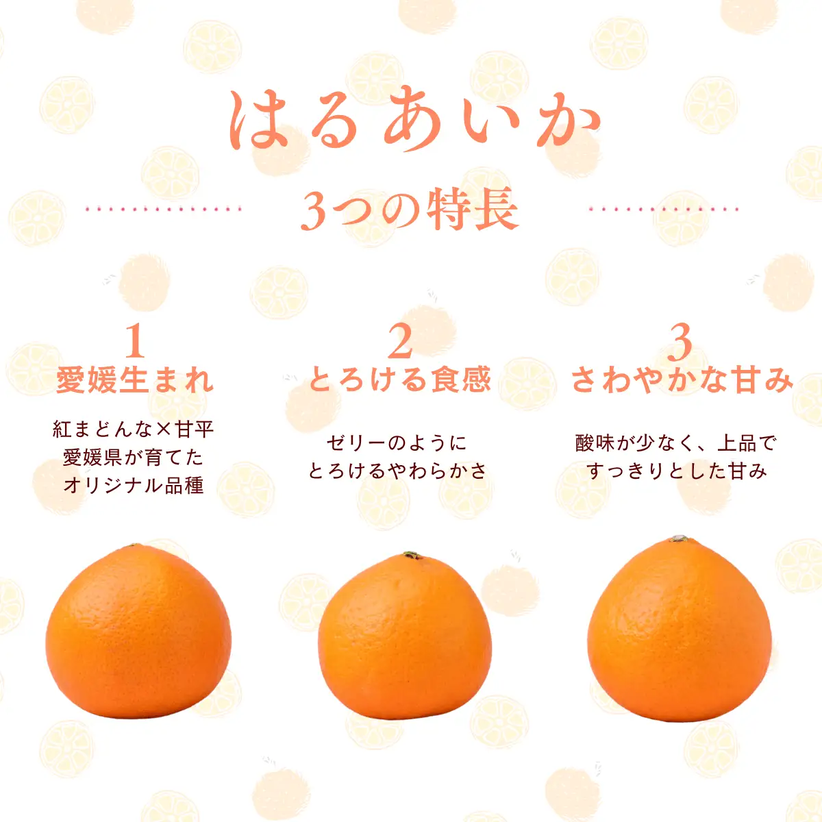 はるあいか 5kg 秀S～４Lサイズ みかん