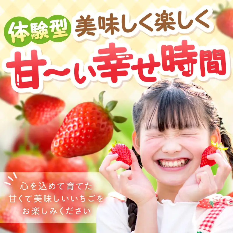 いちご狩り体験ペアチケット（大人2名）【ふるさと納税3.0】【117D-003】