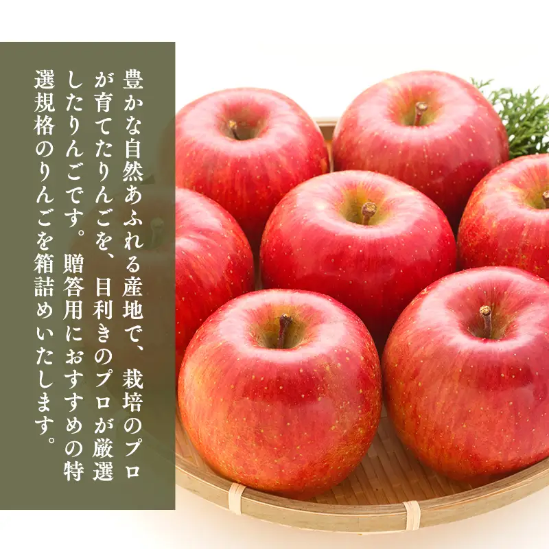 りんご 特選 サンふじ３kg りんご