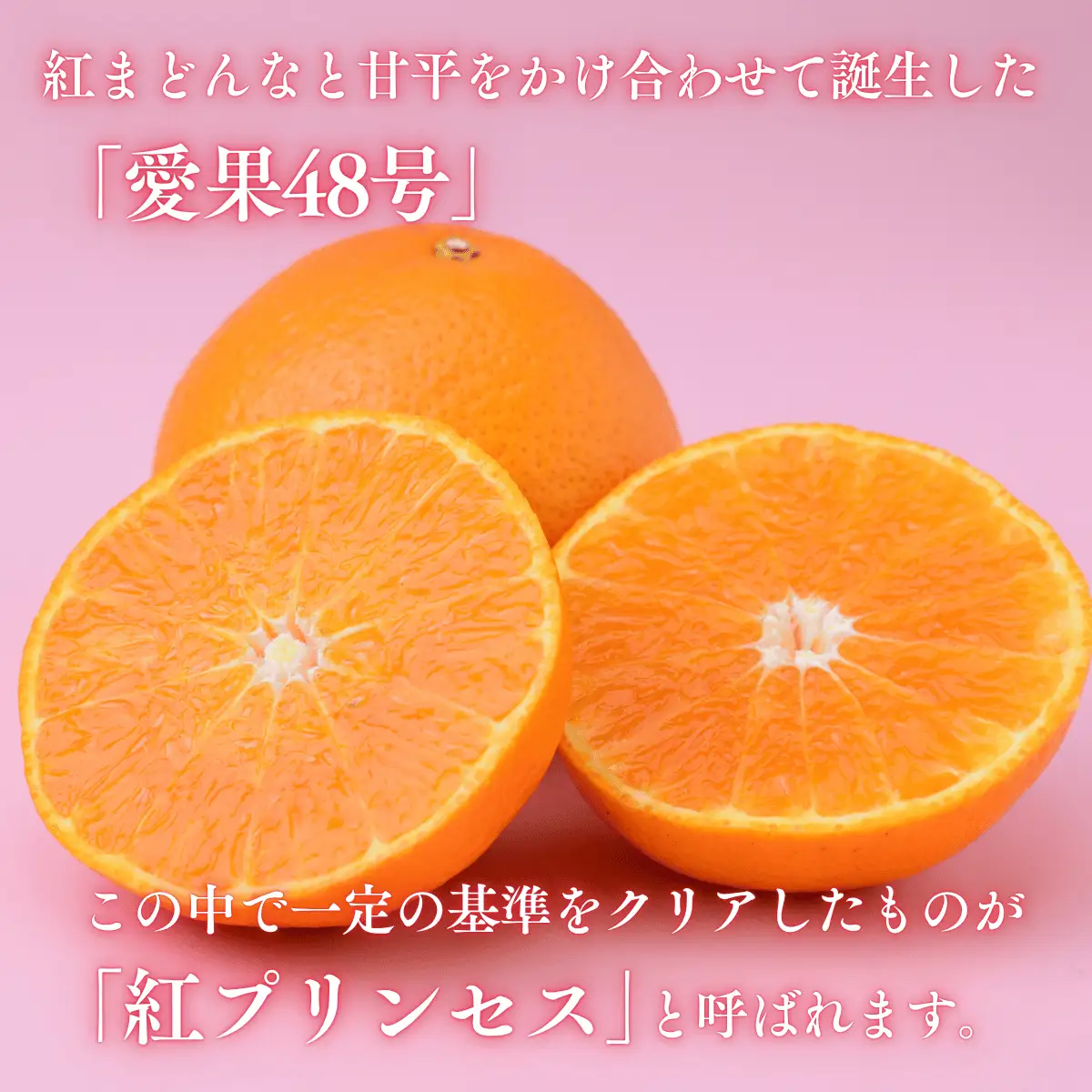 紅プリンセス【先行受付】 5kg 秀 M～４Lサイズ みかん
