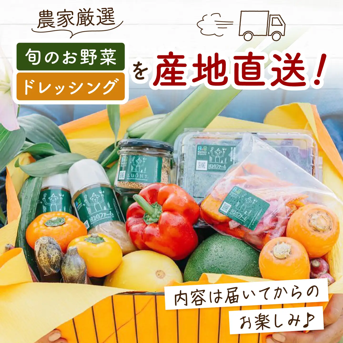 野菜 季節の野菜と自家製ドレッシング2種（人参・ビーツ）詰め合わせ [BAHK010] 野菜