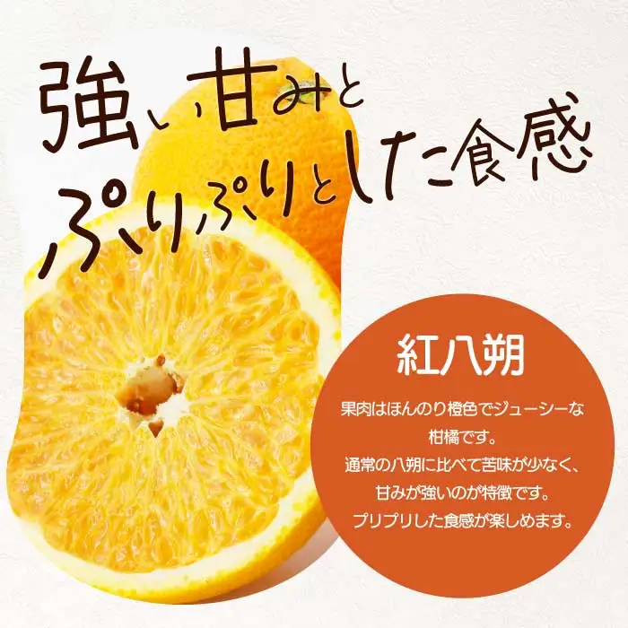 〈訳あり〉 紅八朔 2.5kg 《2027年2～3月発送予定》栽培期間中 防腐剤 ワックス 不使用 おくはち農園 旬 柑橘 かんきつ はっさく フルーツ 果物 瀬戸内 166005 