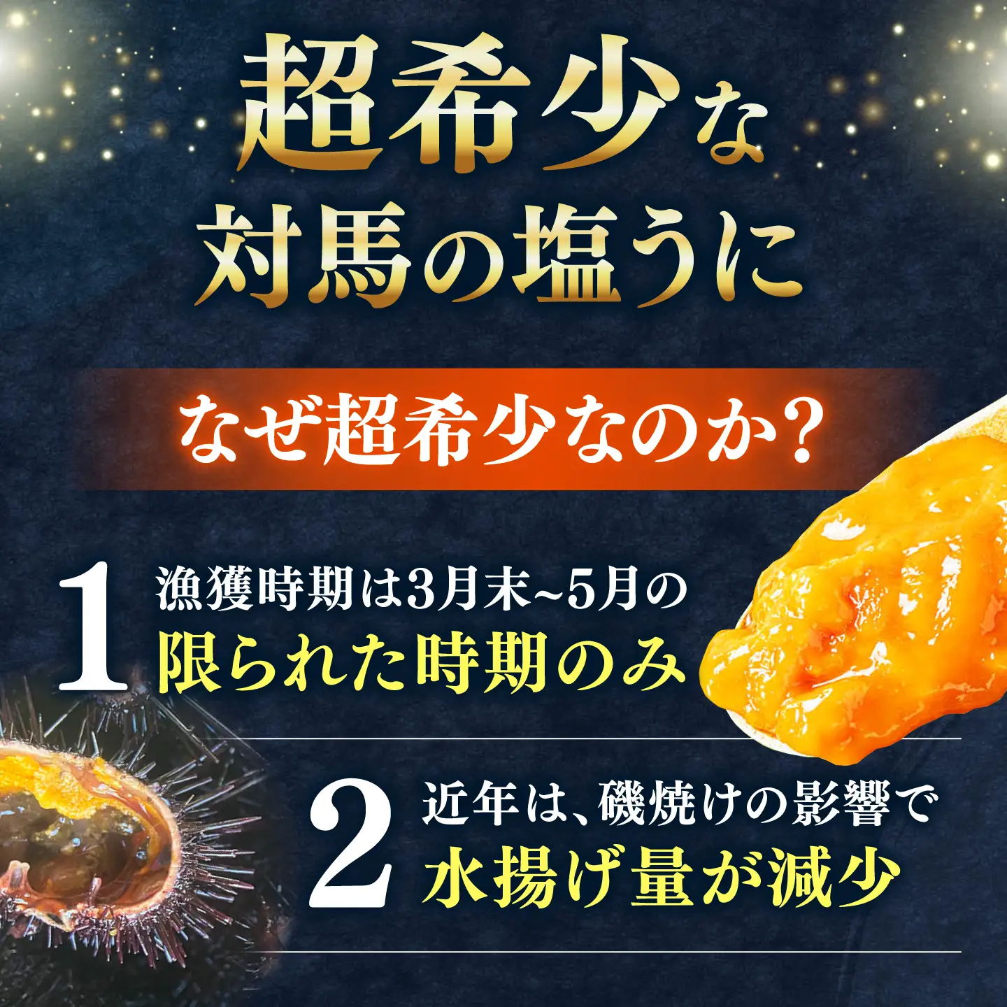 【2027年4月下旬より順次発送】漁師の 塩ウニ 1本 《対馬市》 【漁昇丸水産】うに 瓶 ビン 海鮮 冷凍[WBU004]