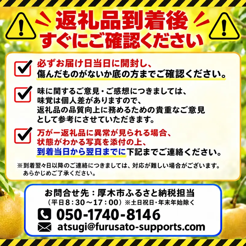 梨 豊水 豊水梨 約 5kg 1箱