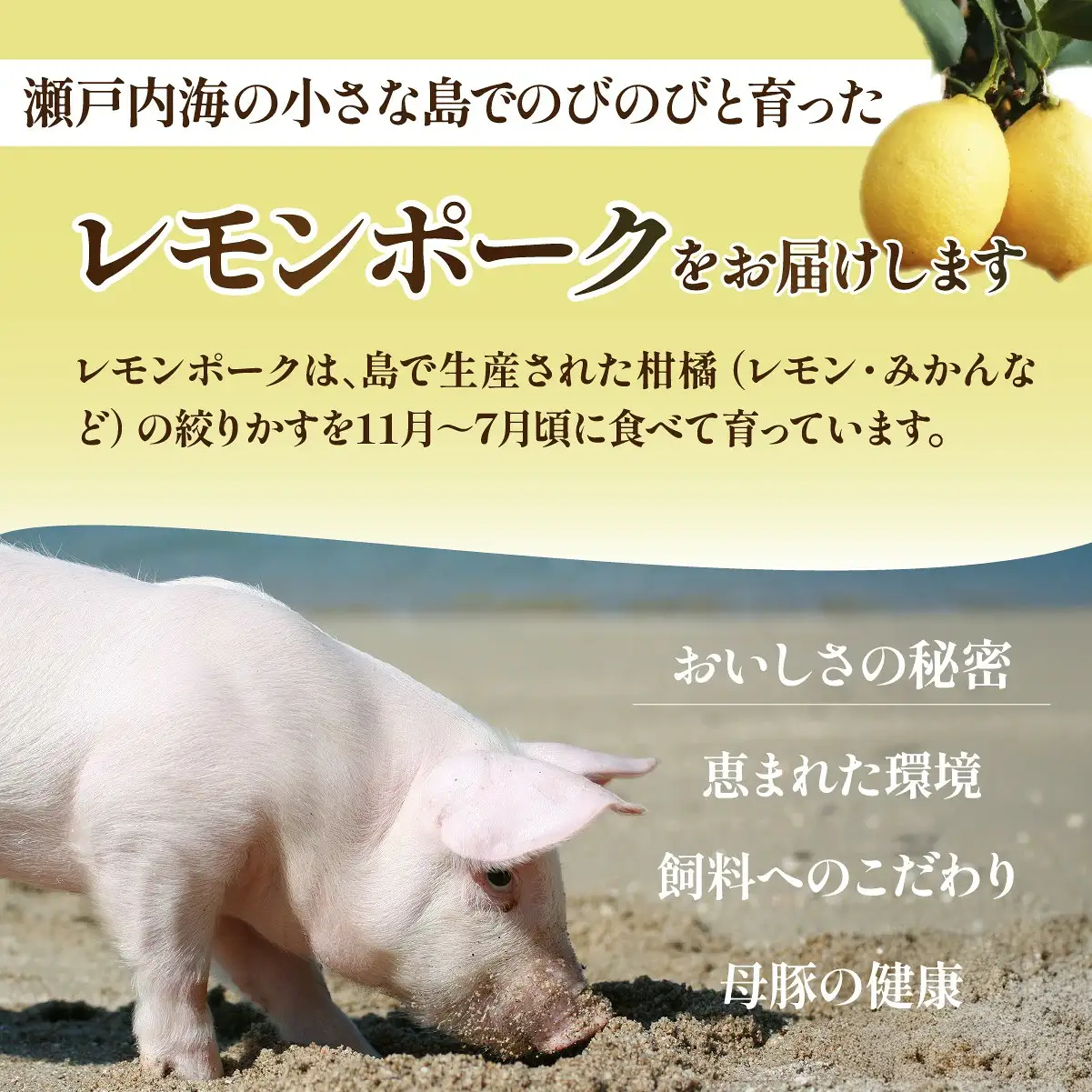 「青いレモンの島」育ちのレモンポーク スペアリブ 1.5kg 500g×3p 豚肉 スペアリブ レモンポーク 豚 豚肉 ポーク 冷凍保存 真空 真空パック 小分け おかず バーベキュー
