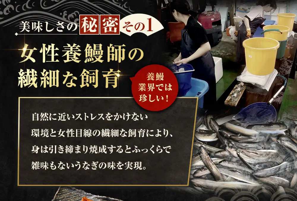 めぐみうなぎ 蒲焼き 7尾セット うなぎ 鰻 ウナギ unagi 国産うなぎ うなぎ蒲焼 蒲焼き かば焼き うな丼 うな重 ひつまぶし 冷凍 真空パック 小分け 個包装 敬老の日 ギフト プレゼント 贈答 のし対応 お歳暮 年末年始 完全無投薬養殖 女性養鰻師 大阪府 熊取町