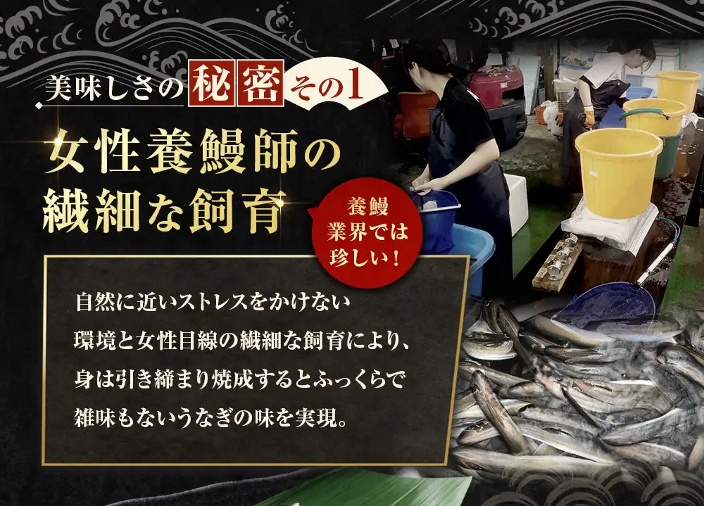 めぐみうなぎ 白焼き 5尾セット うなぎ 鰻 ウナギ unagi 国産うなぎ うなぎ白焼き 白焼 素焼き わさび醤油 岩塩 雪塩 酒の肴 おつまみ 日本酒 冷凍 真空パック 小分け 個包装 敬老の日 ギフト プレゼント 贈答 のし対応 お歳暮 完全無投薬養殖 女性養鰻師 大阪府 熊取町