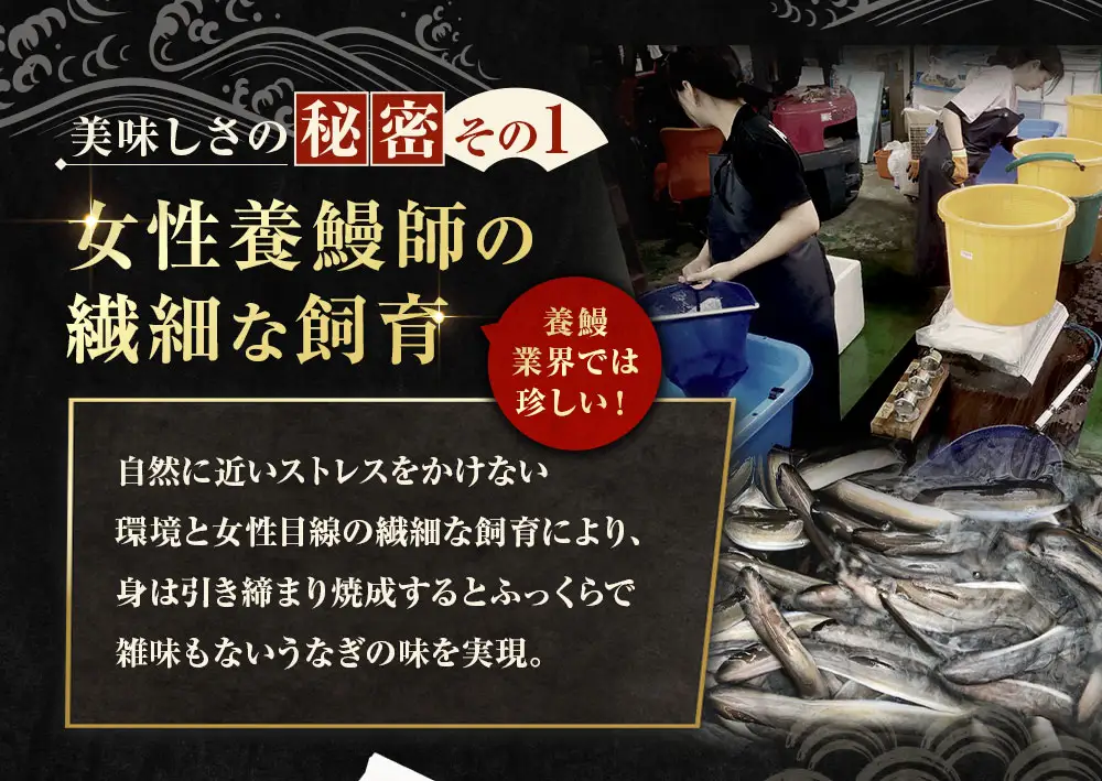 めぐみうなぎ きざみ 100g × 6パック 計600g  うなぎ 鰻 ウナギ unagi 国産うなぎ きざみうなぎ 刻みうなぎ うなぎ蒲焼 カット 小分け 個包装 真空パック 冷凍 ひつまぶし うな丼 お茶漬け 混ぜご飯 時短 一人前 敬老の日 ギフト のし対応 完全無投薬養殖 女性養鰻師 大阪府 熊取町