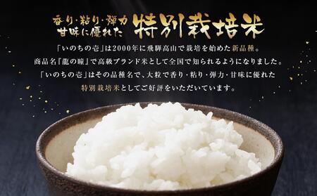 【定期便】飛騨高山産 いのちの壱（白米）5kg×12ケ月 | 粒が大きい いのちの壱  AU110