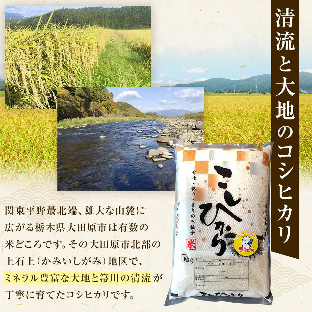 令和８年産 大田原市 藤田farmのコシヒカリ 【無洗米】 5kg　決済後7日以内に発送 ｜栃木県産 米 お米  コメ こしひかり コシヒカリ 栃木県 【選べる容量】5kg 10kg  数量限定