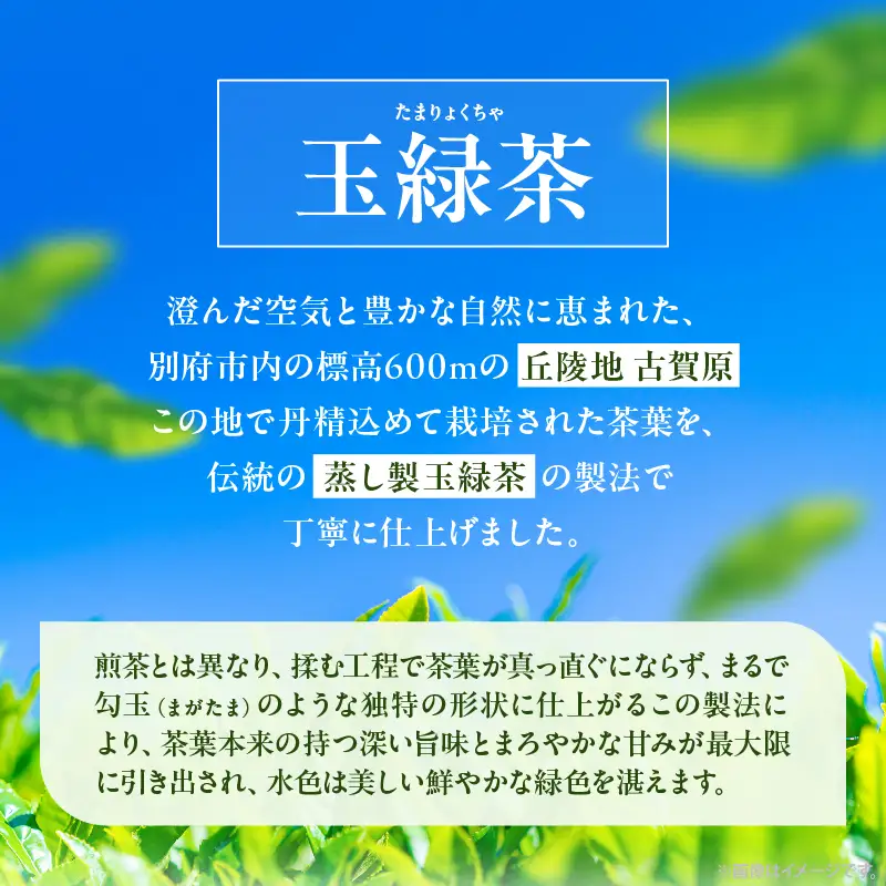 【別府市古賀原産】蒸し玉緑茶(スタンダード)3袋_B129-002