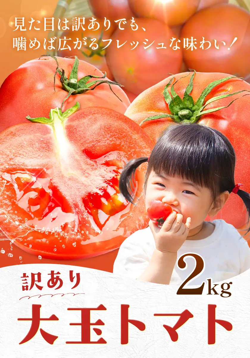 【8回定期便】訳あり トマト 大玉 大玉トマト わけあり 2kg ×8回 吉祥庵園芸《11月上旬-6月上旬頃出荷》鹿児島県 さつま町 送料無料 野菜 トマト お取り寄せ