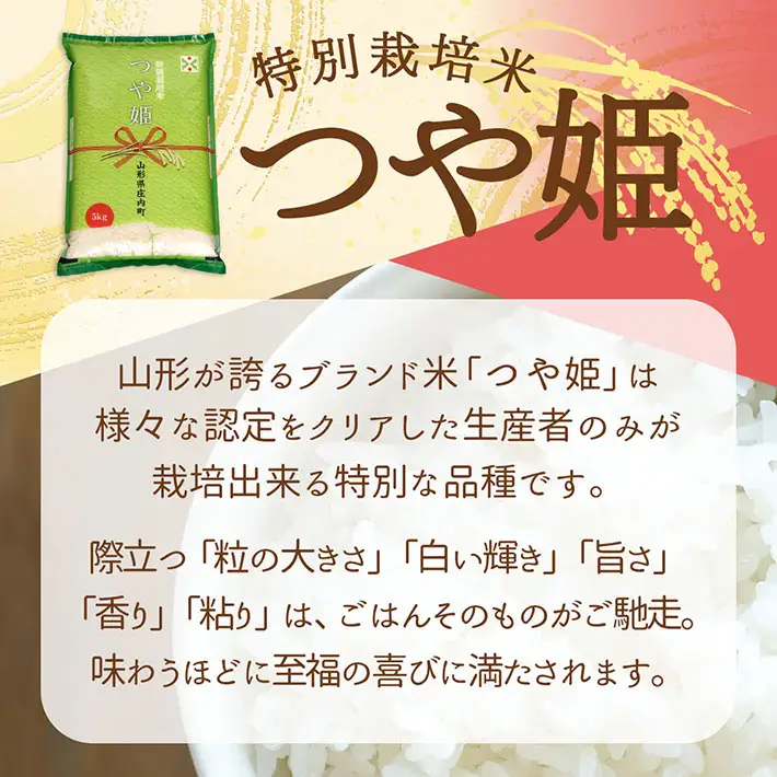 【定期便】＜令和8年産＞つや姫 5kg×1年間 毎月お届け 特別栽培米 山形県庄内町産 庄内米 ブランド米 米 コシヒカリの原点、亀の尾発祥の地 お米の定期便 ごはん 粘り 甘み 香り 粒が大きい【10月下旬発送】