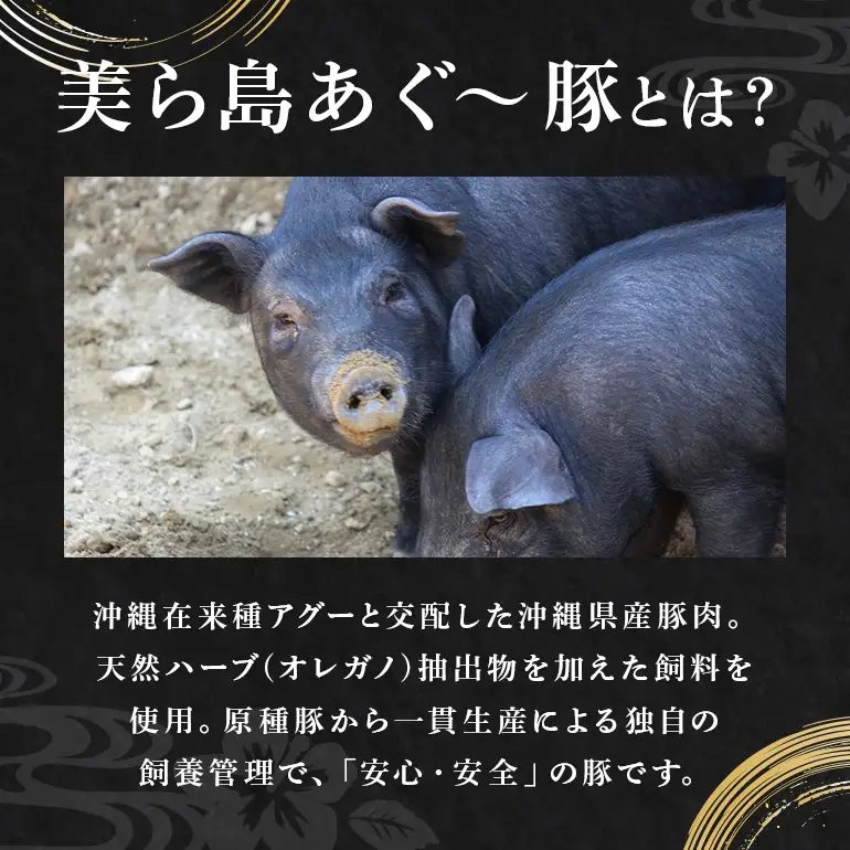 美ら島 あぐー豚 生ハム 計1050g ( 70g × 15パック ) na06-003